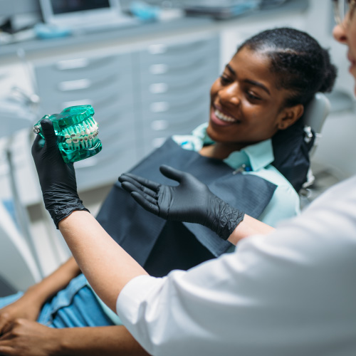 dentist showing patient teeth diorama